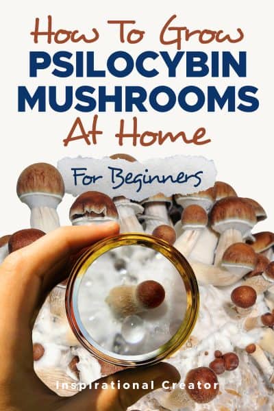 Cover for How to Grow Psilocybin Mushrooms at Home for Beginners