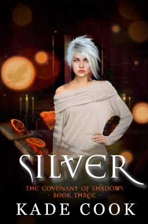 Cover for Silver