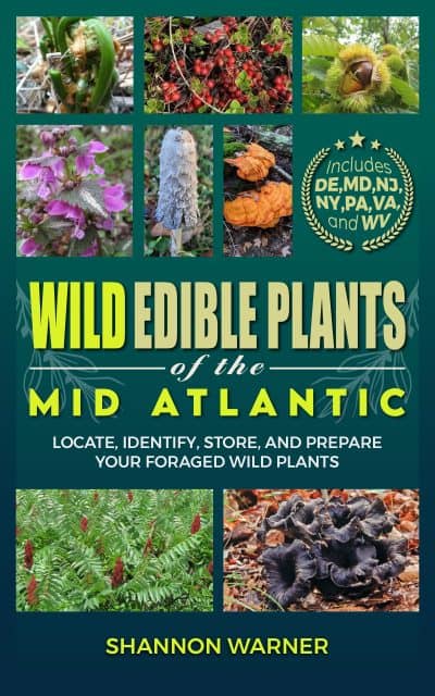 Cover for Wild Edible Plants of the Mid-Atlantic