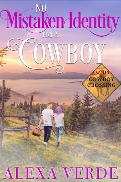 Cover for No Mistaken Identity for a Cowboy