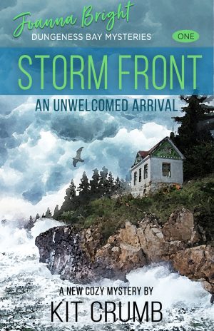 Cover for Storm Front