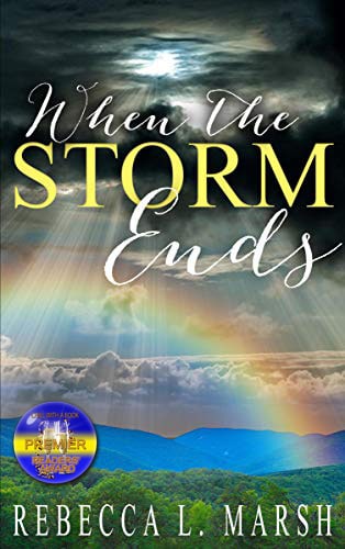 Cover for When the Storm Ends