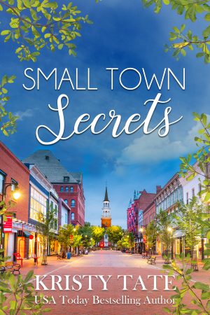 Cover for Small Town Secrets