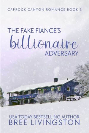 Cover for The Fake Fiance's Billionaire Adversary