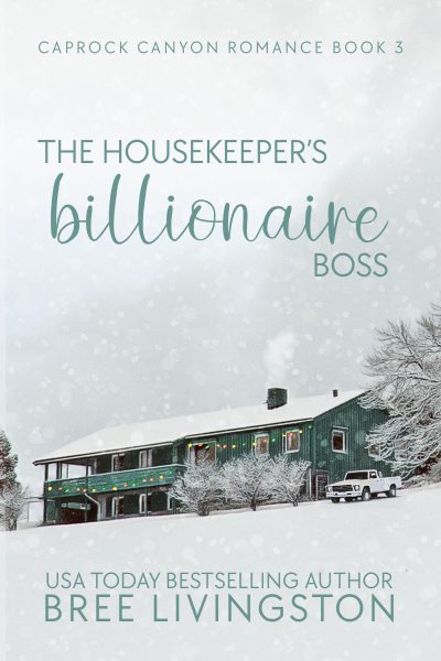 Cover for The Housekeeper's Billionaire Boss