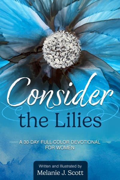 Cover for Consider the Lilies