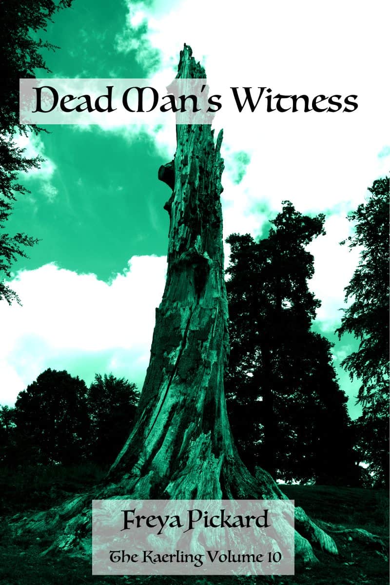 Cover for Dead Man's Witness: A Grim Dark Fantasy Tale