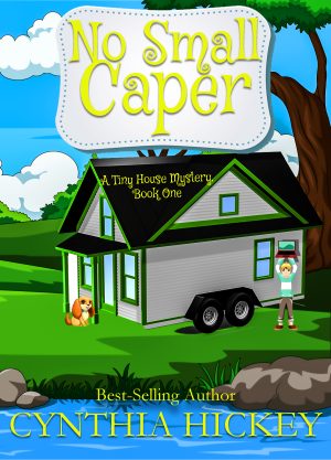 Cover for No Small Caper