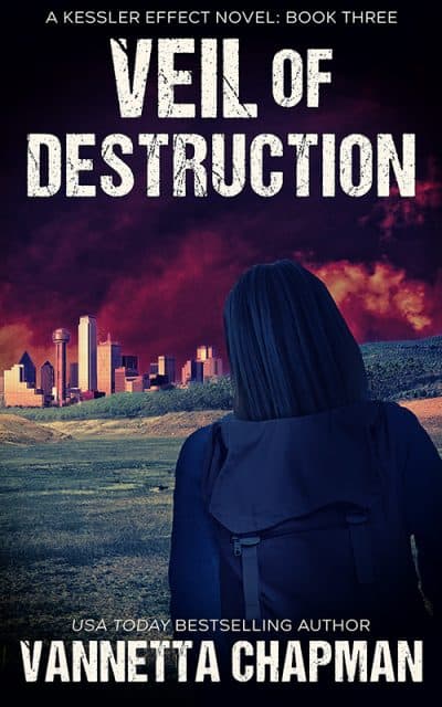 Cover for Veil of Destruction