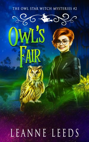 Cover for Owl's Fair