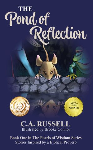 Cover for The Pond of Reflection