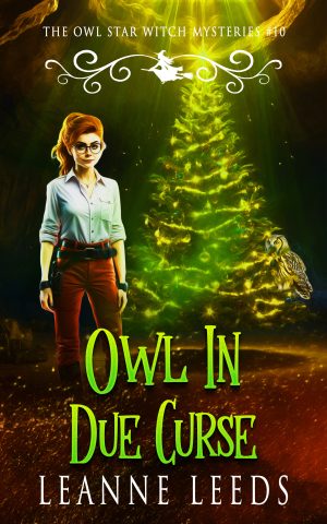 Cover for Owl in Due Curse