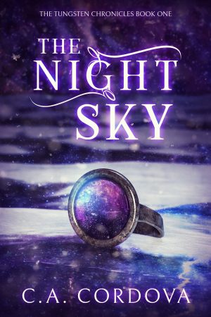 Cover for The Night Sky