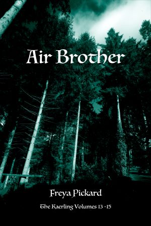 Cover for Air Brother