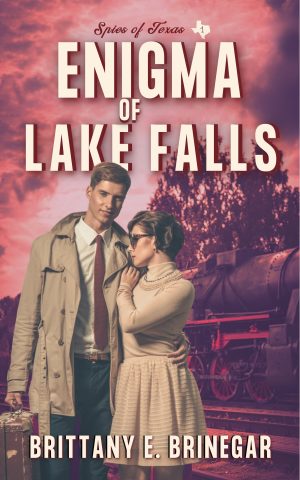 Cover for Enigma of Lake Falls