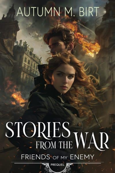 Cover for Stories from the War