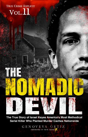 Cover for The Nomadic Devil