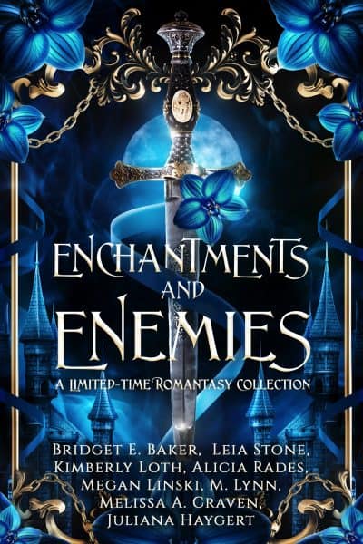 Cover for Enchantments and Enemies