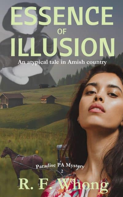 Cover for Essence of Illusion