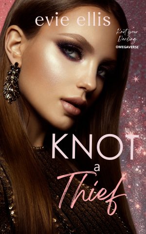 Cover for Knot a Thief