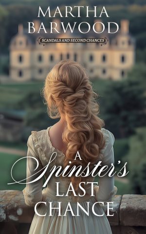 Cover for A Spinster's Last Chance