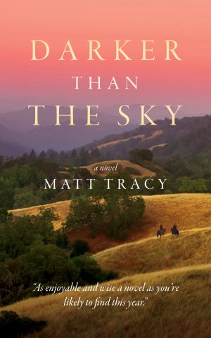 Cover for Darker Than the Sky