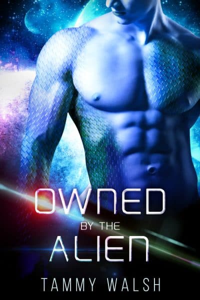 Cover for Owned by the Alien