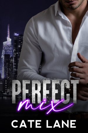 Cover for Perfect Mix