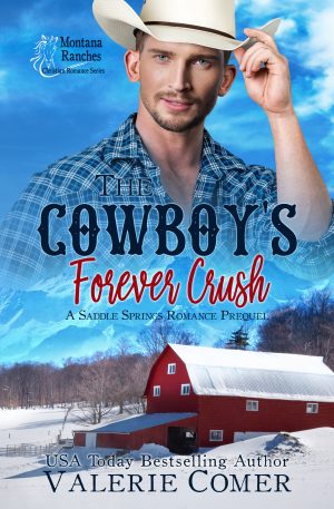 Cover for The Cowboy's Forever Crush