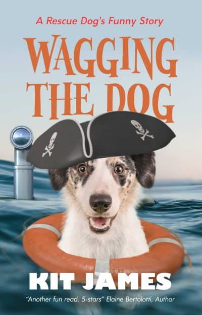 Cover for Wagging the Dog