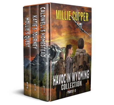 Cover for The Havoc in Wyoming Series: Books 1-3 Box Set