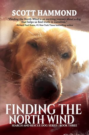 Cover for Finding the North Wind