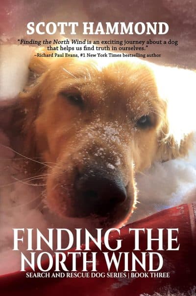 Cover for Finding the North Wind