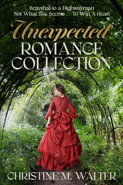 Cover for Unexpected Romance Collection