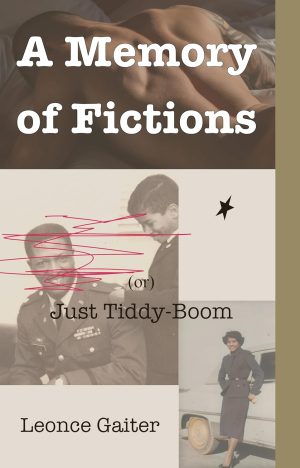 Cover for A Memory of Fictions (or) Just Tiddy-Boom