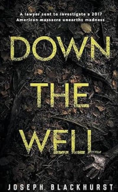 Cover for Down the Well