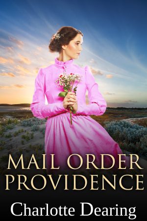 Cover for Mail Order Providence