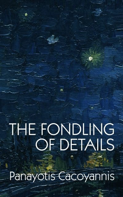 Cover for The Fondling of Details