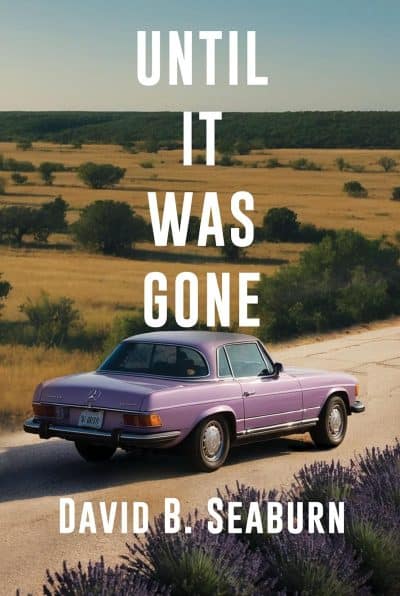 Cover for Until It Was Gone