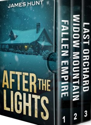 Cover for After the Lights