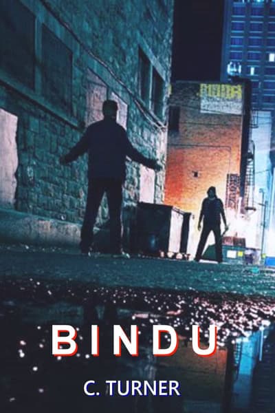 Cover for Bindu