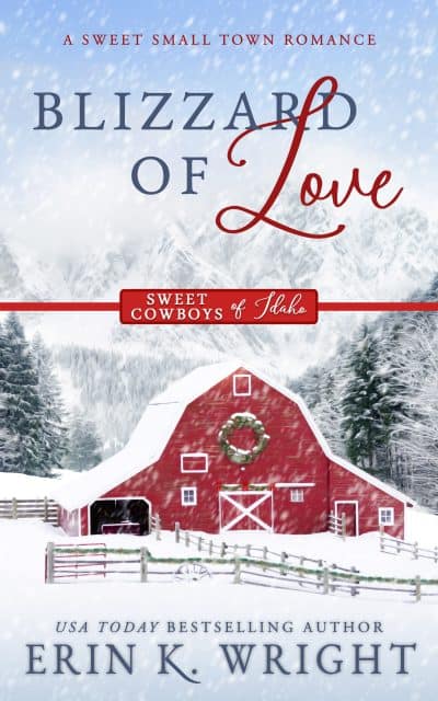 Cover for Blizzard of Love