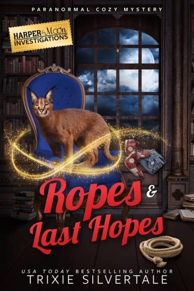 Cover for Ropes and Last Hopes